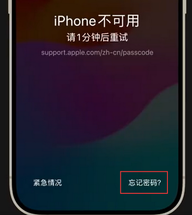 椰林镇苹果手机密码维修分享iPhone忘记了刚设置的密码 