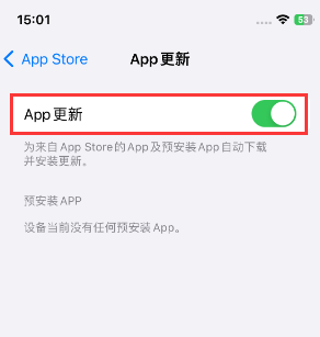椰林镇苹果15维修中心如何让iPhone15APP自动更新