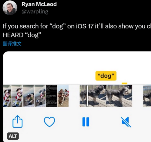 椰林镇apple维修店分享通过关键字搜索iPhone视频内声音 