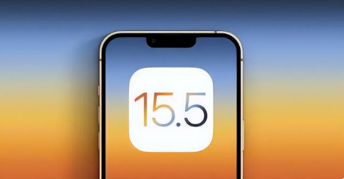 椰林镇苹果手机维修分享iOS15.5 RC版升级建议 