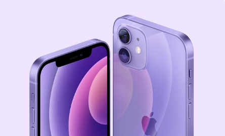 椰林镇苹果手机维修分享紫色版iPhone 12有什么技术亮点 